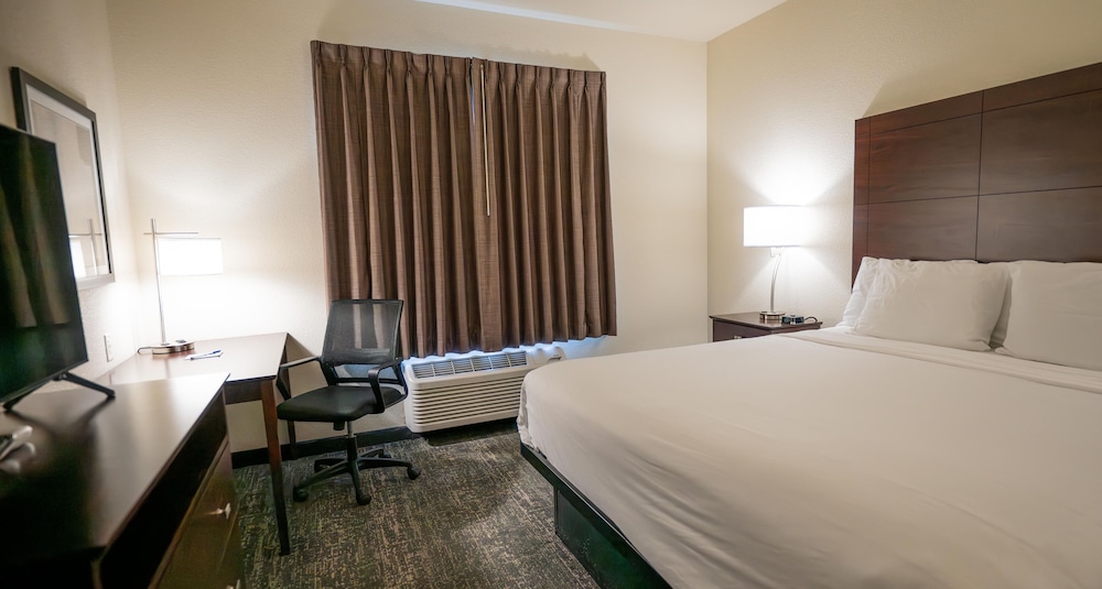Room, 1 King Bed, Accessible, Non Smoking (Guestroom) - Photo 11