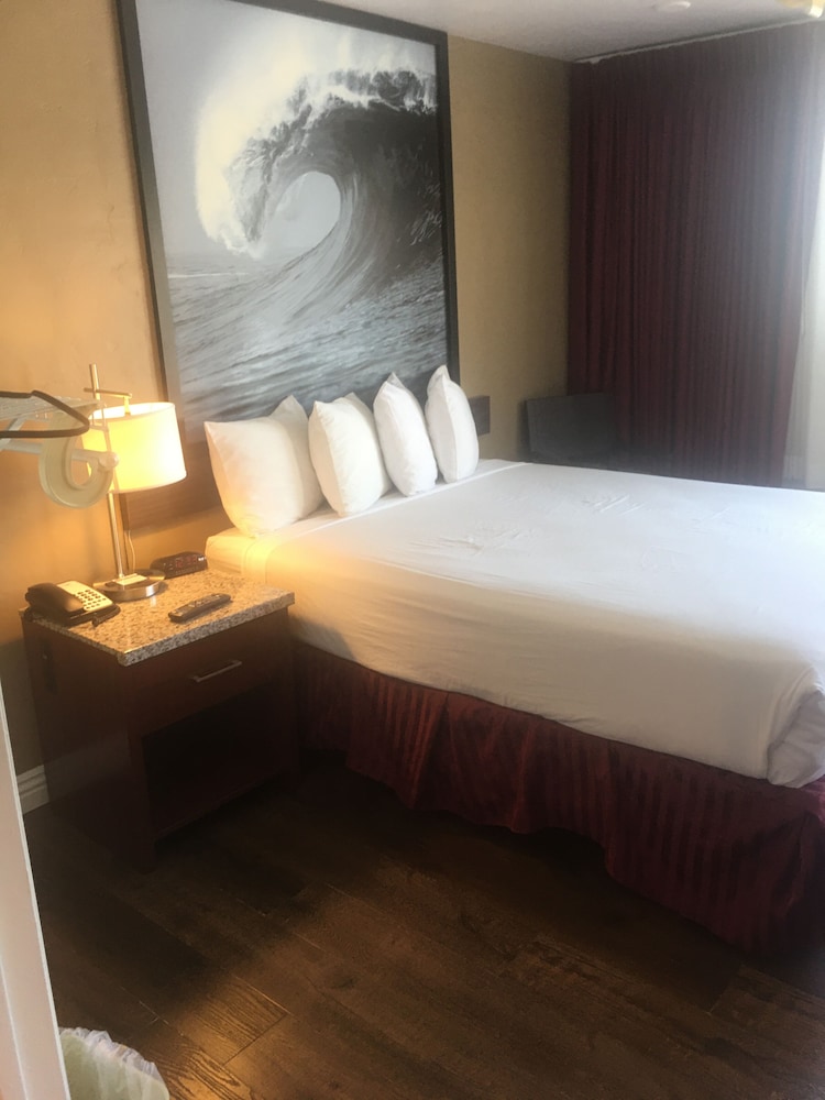 Standard Single Room, 1 Twin Bed, Accessible - Photo 7