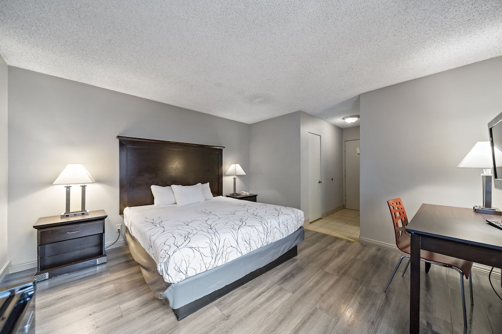 Basic Room, 1 King Bed photo 1