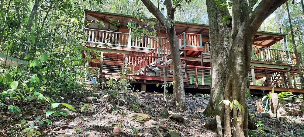 The Pole Place: Surrounded By Rainforest photo 2