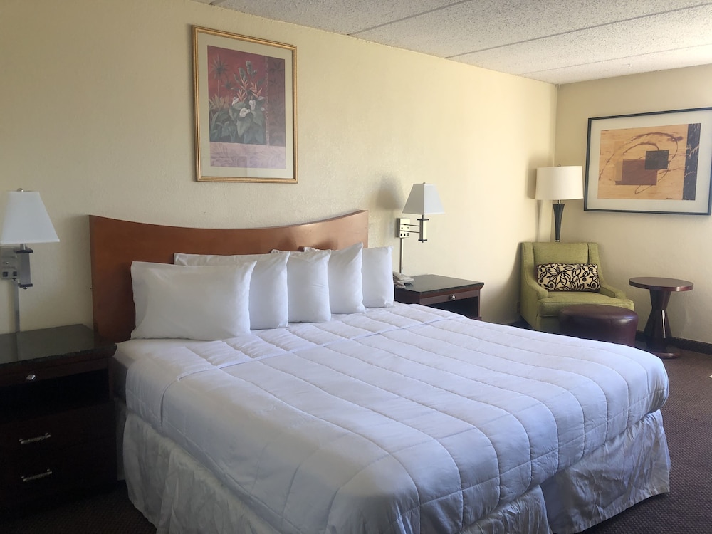 Economy Single Room, 1 King Bed, Non Smoking photo 2