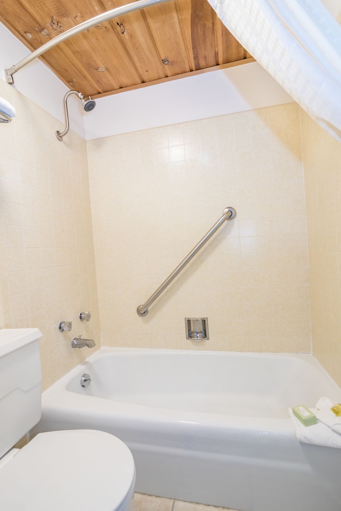 Single Room, 1 Queen Bed photo 2