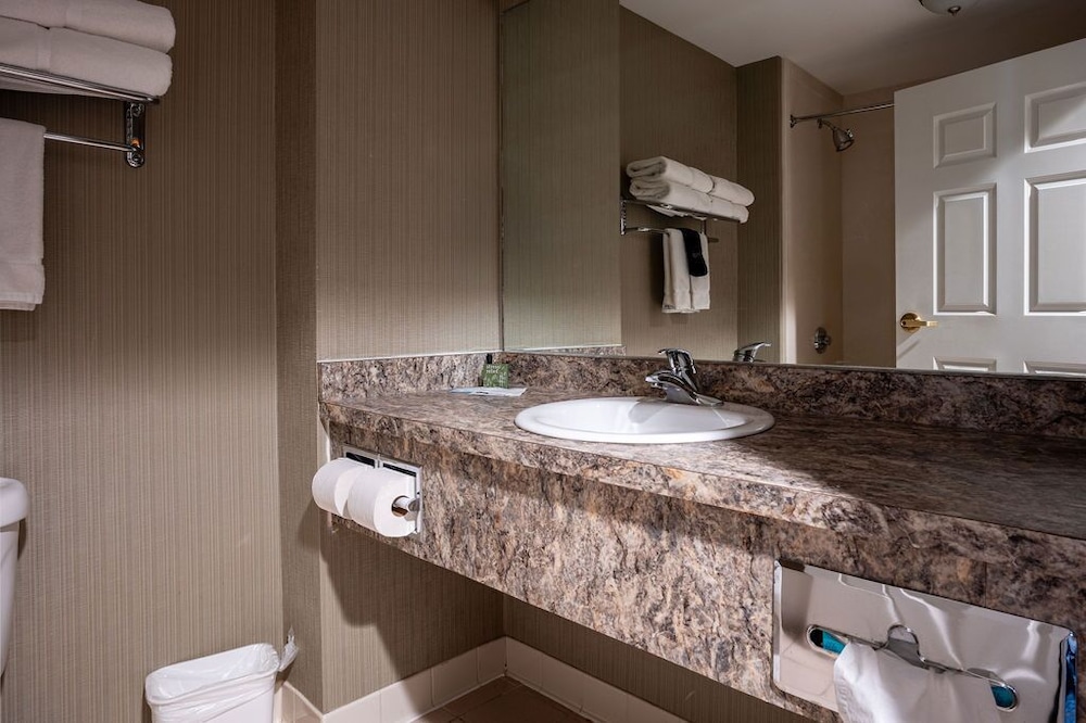 Suite, 1 Bedroom photo 3
