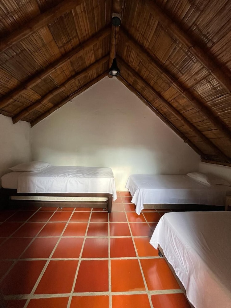 Basic Room, Garden View photo 1