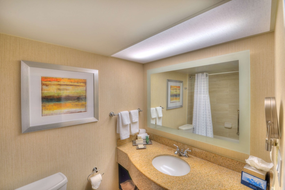 Junior Suite, 1 King Bed