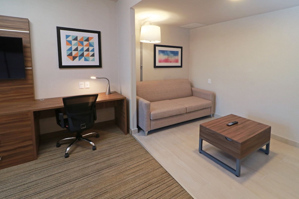 Suite, 1 King Bed - Photo 3