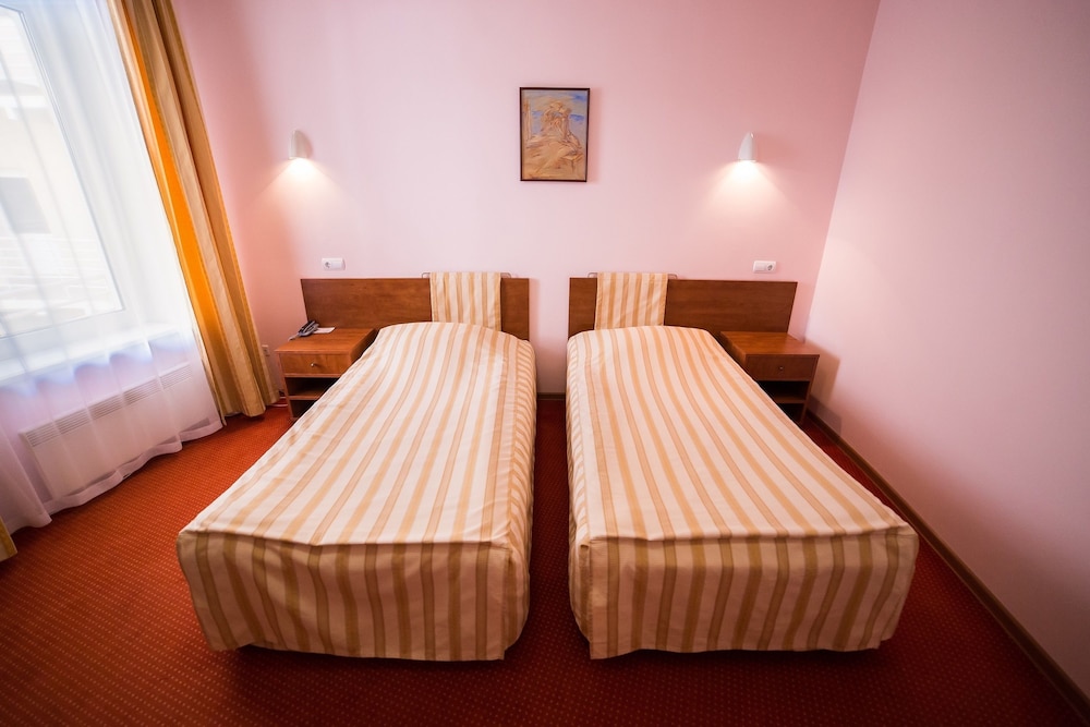 Standard Double or Twin Room photo 3