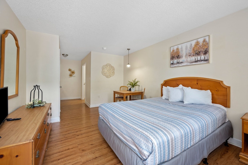 Studio (Room Full Bed) photo 1