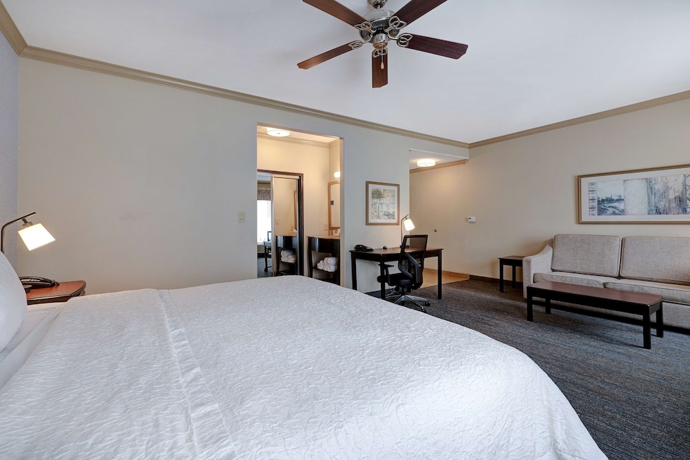 Suite, 1 King Bed, Accessible, Non Smoking - Photo 4