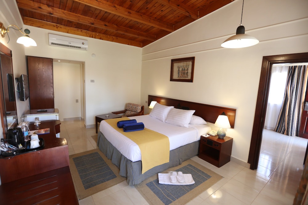 Sinai Suite photo 2