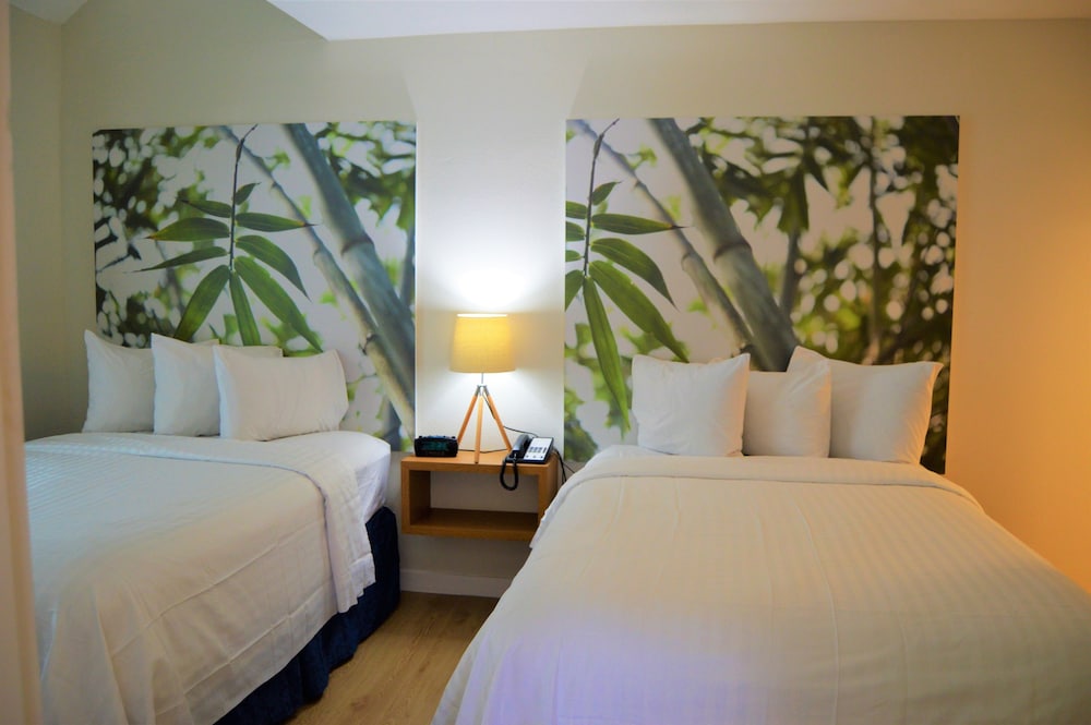 Executive Suite, 1 Bedroom, Kitchen photo 2