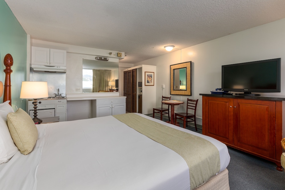Studio, 1 King Bed, Kitchenette photo 2
