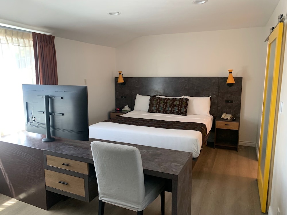 Deluxe Studio Suite, 1 Bedroom photo 1