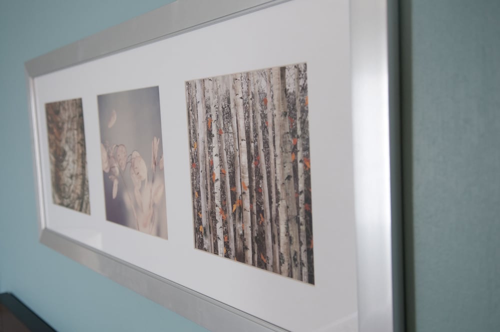 Suite, 1 Bedroom, Hearing Accessible photo 2