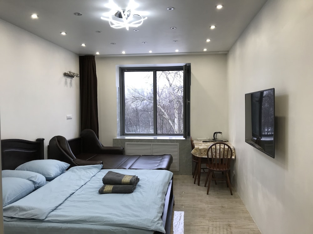 Apartment, 1 King Bed with Sofa bed
