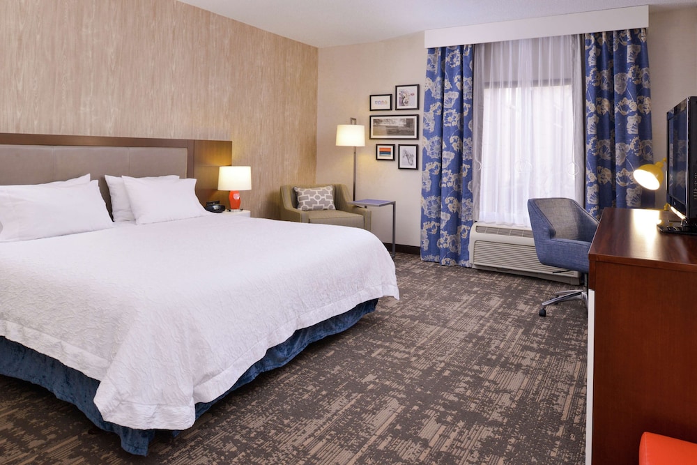 Room, 1 King Bed, Accessible, Non Smoking photo 1