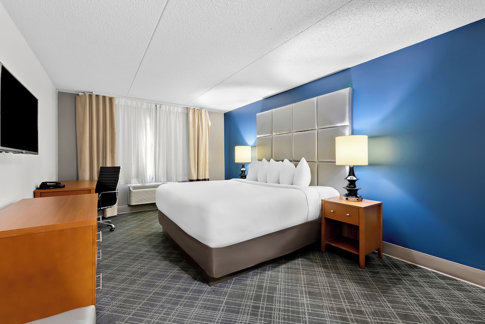 Suite, 1 King Bed Jacuzzi With Pool View photo 2