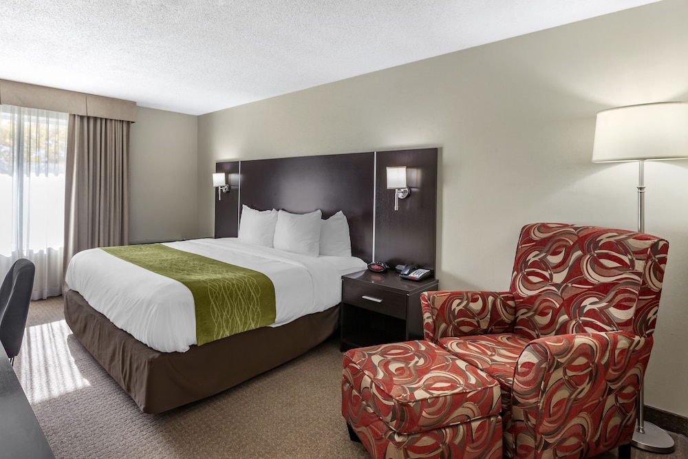 Business Room, 1 King Bed, Non Smoking - Photo 1
