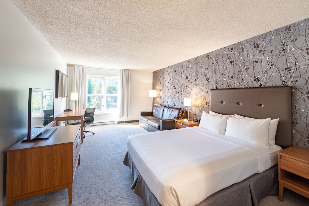 Comfort Room, 1 Queen Bed with Sofa bed, Mountain View
