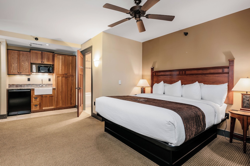Studio, 1 King Bed