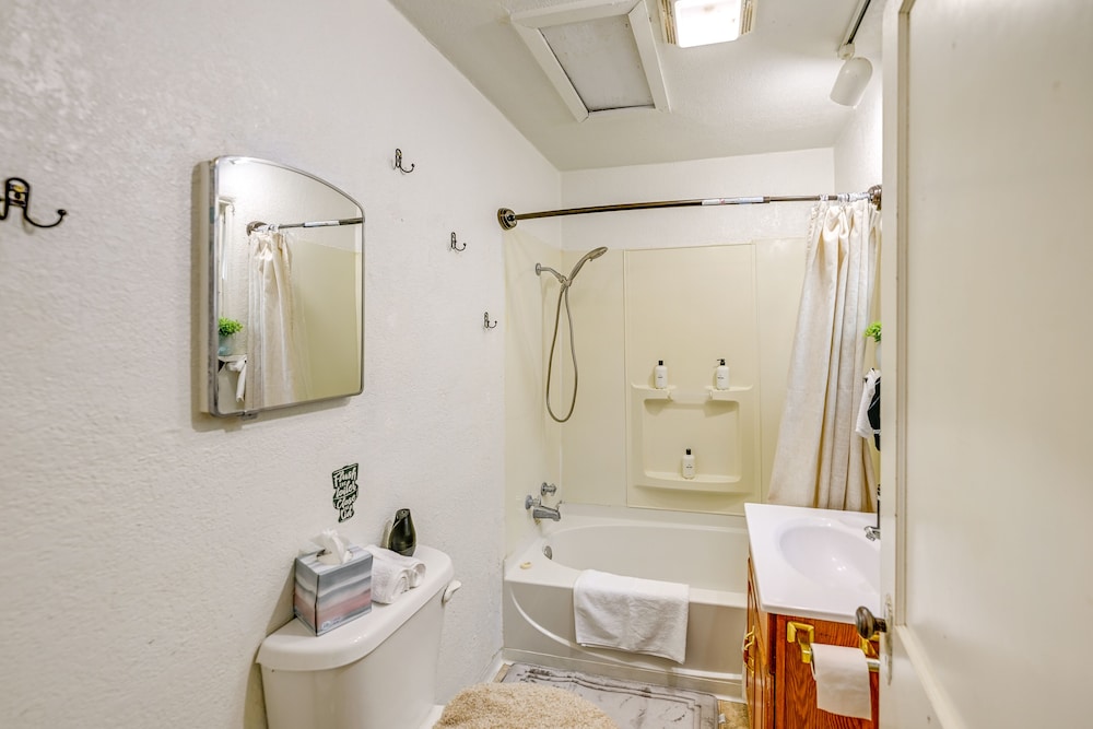 Apartment (1 Bedroom) photo 3
