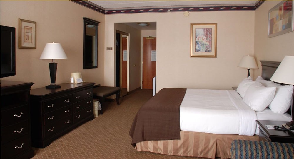 Room, 1 King Bed with Sofa bed, Accessible photo 2