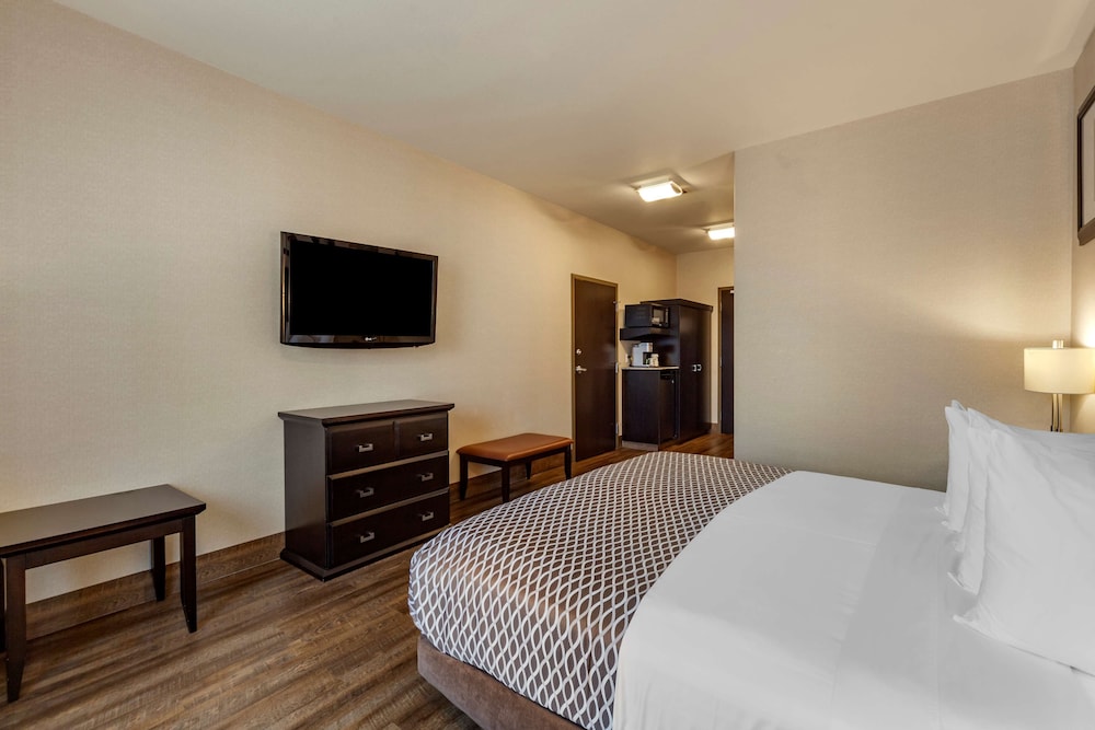 Standard Room, 1 King Bed, Accessible, Non Smoking