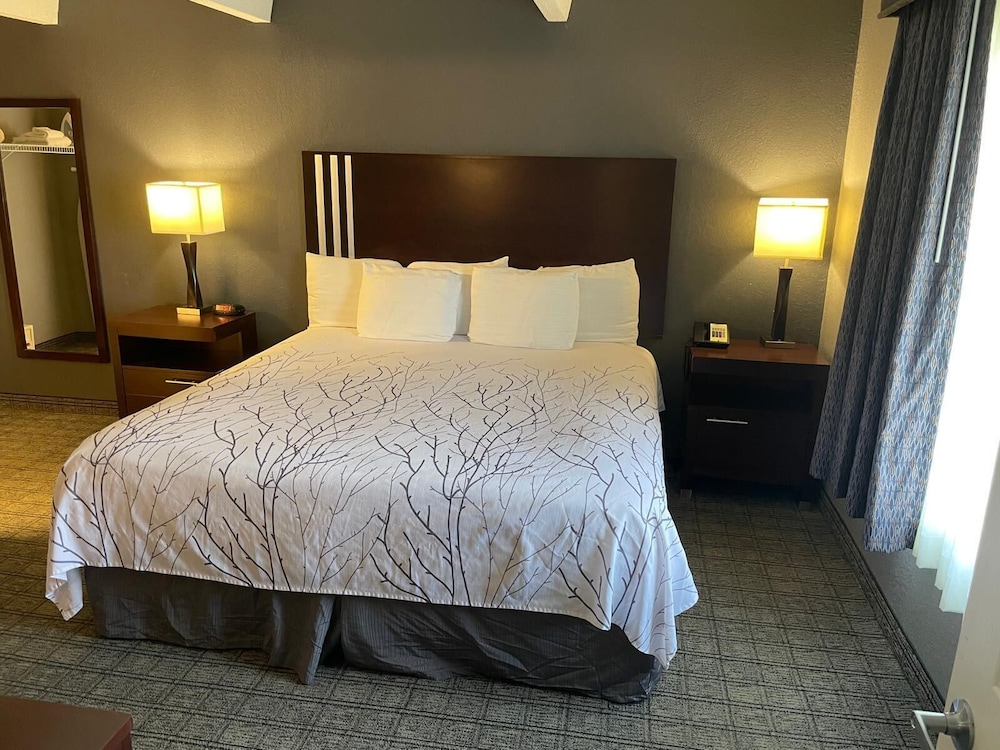 Suite, 1 King Bed - Photo 3