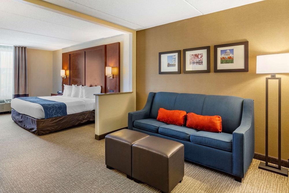Room, 1 King Bed with Sofa bed, Non Smoking photo 2