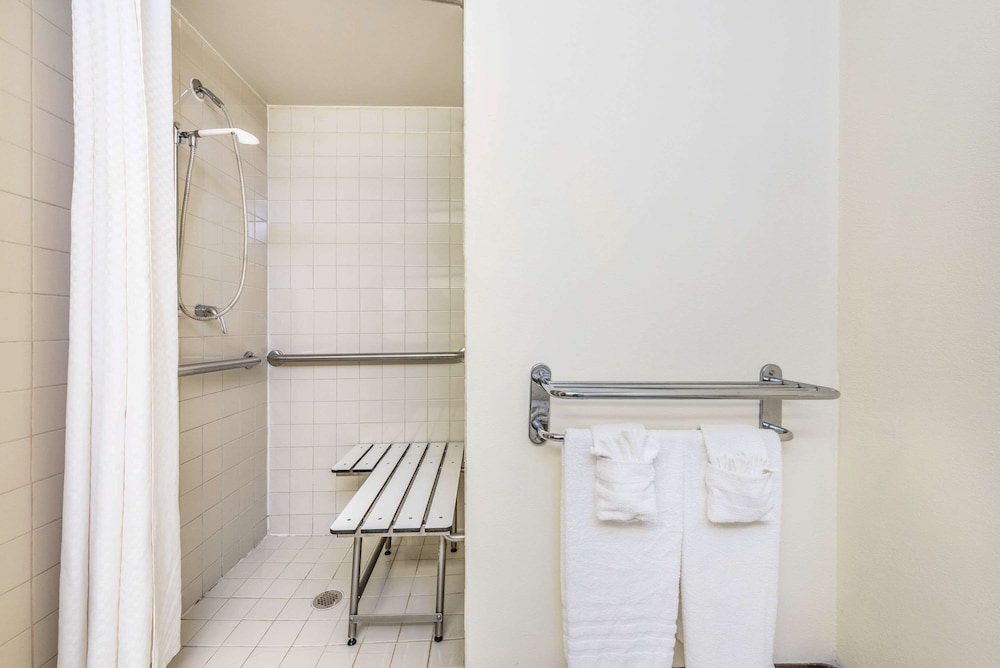 Room, 1 King Bed, Accessible, Non Smoking (Mobility, Roll-In Shower)