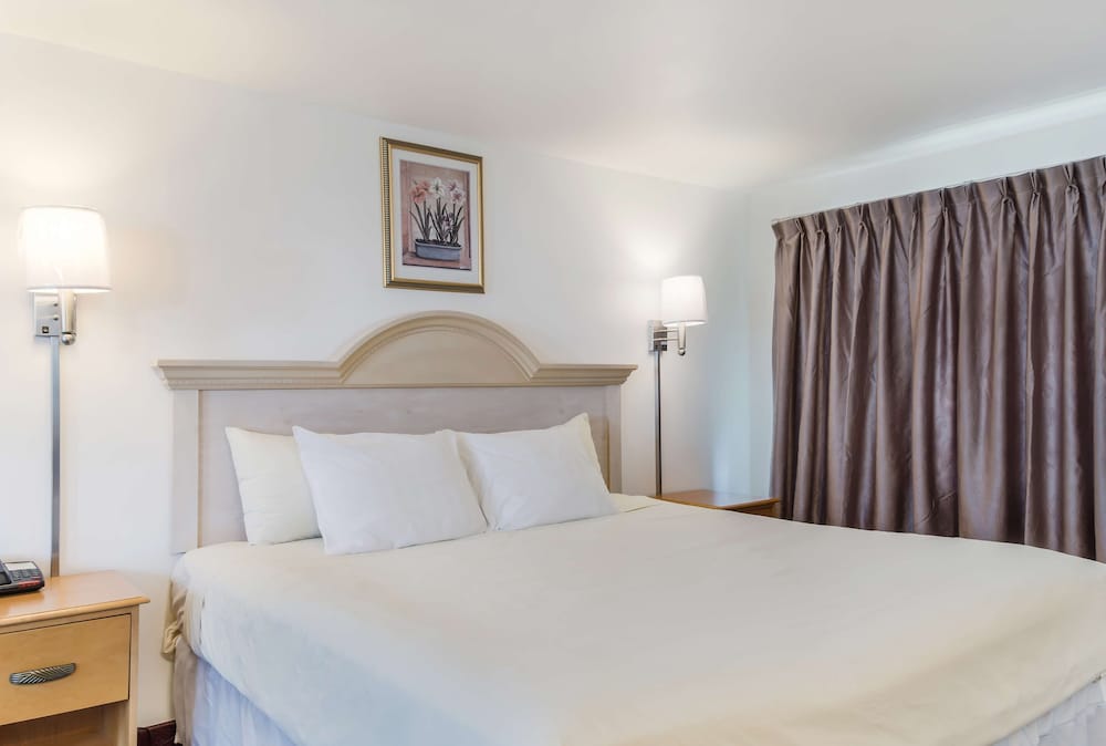 Grand Room, 1 King Bed - Photo 4