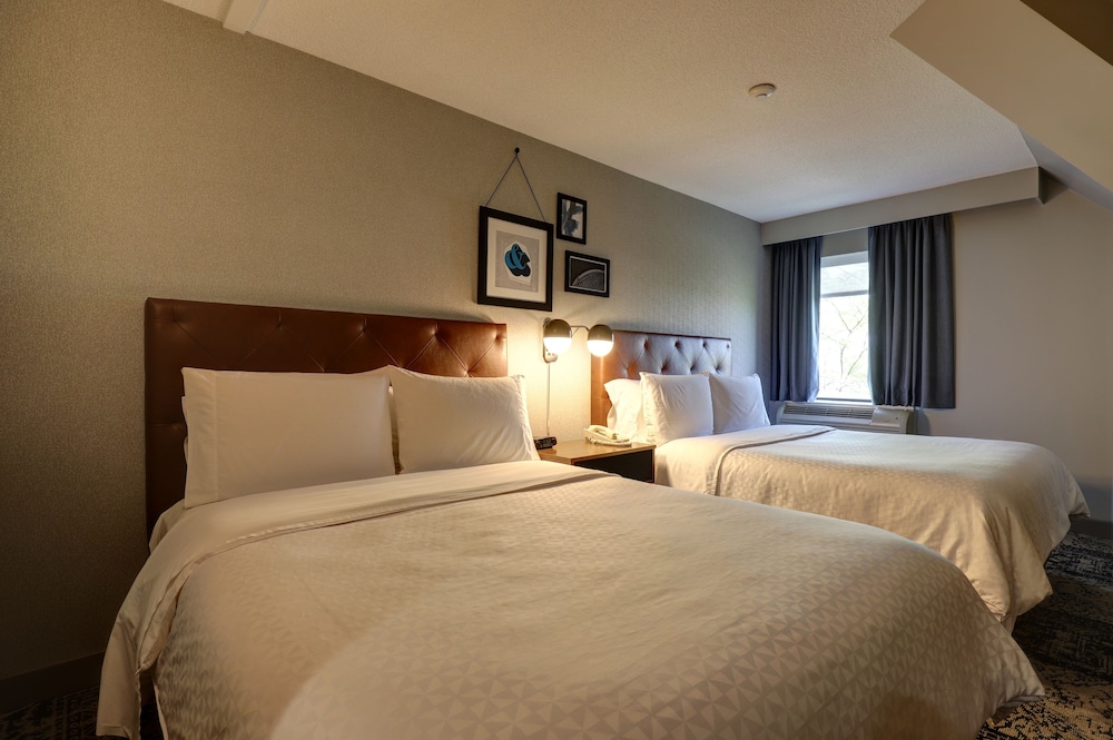 Suite, 1 Bedroom - Photo 3
