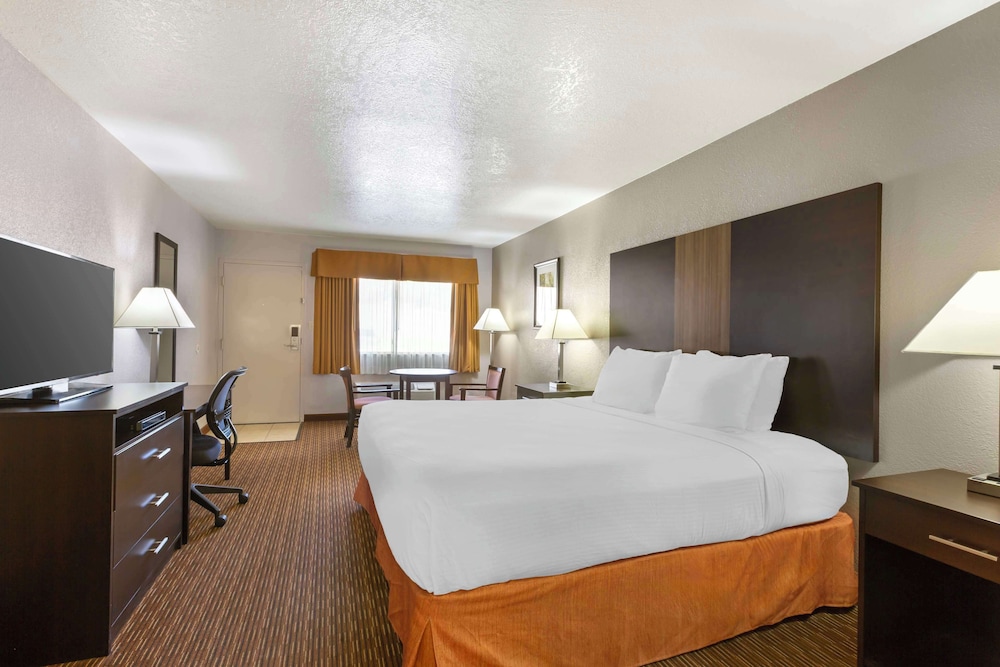 Standard Room, 1 King Bed, Non Smoking, Refrigerator & Microwave (Pet Friendly) photo 1