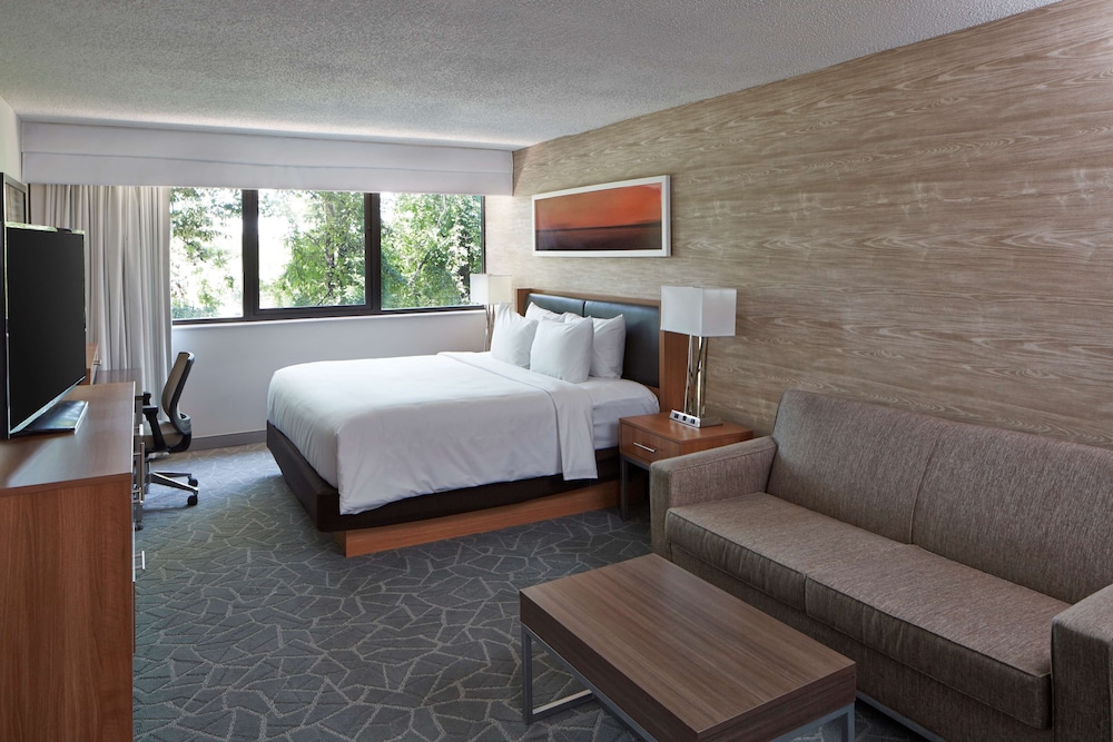 Room, 1 King Bed, Accessible (Mobility, Transfer Shower) - Photo 3