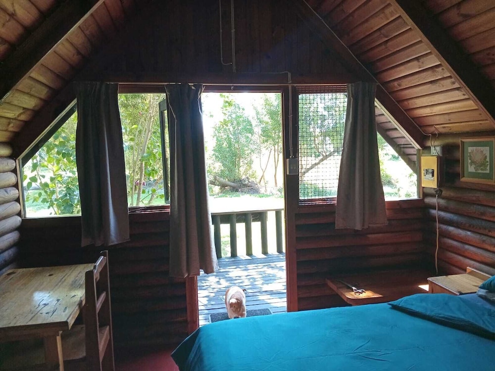 Cabin, Multiple Beds, Private Bathroom, Mountain View photo 1