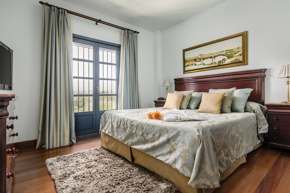 Suite - Photo 1
