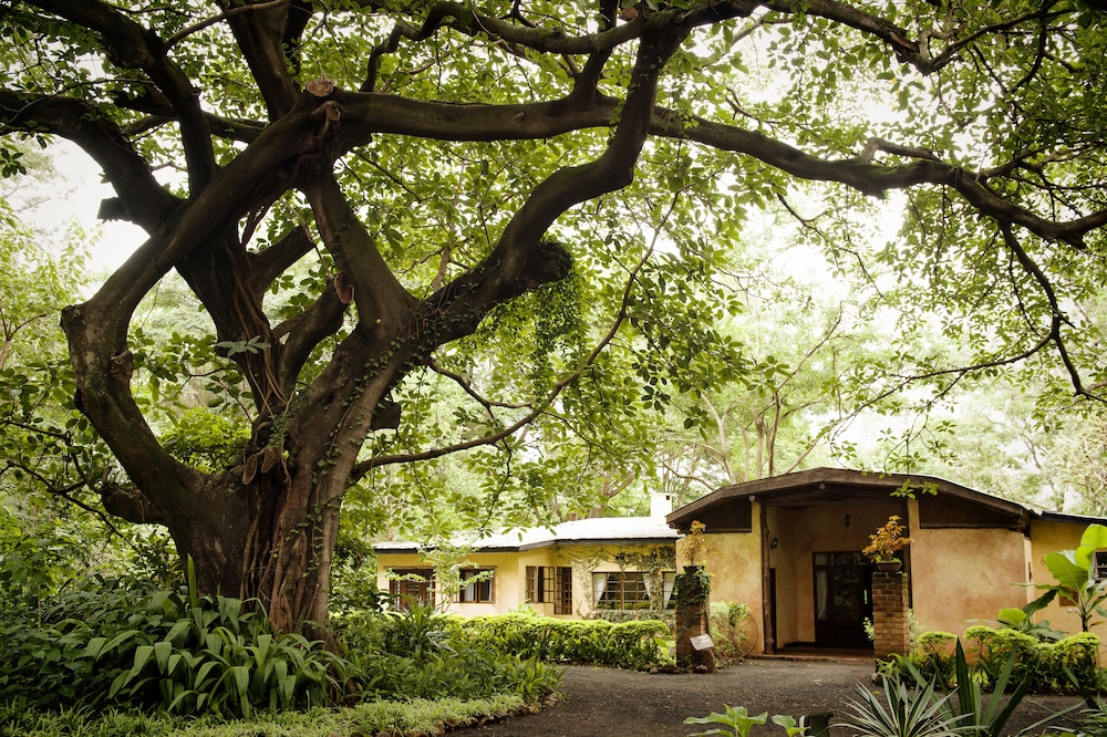 Garden Room