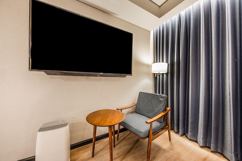 Premium Double Room, 1 King Bed, Non Smoking, City View photo 3