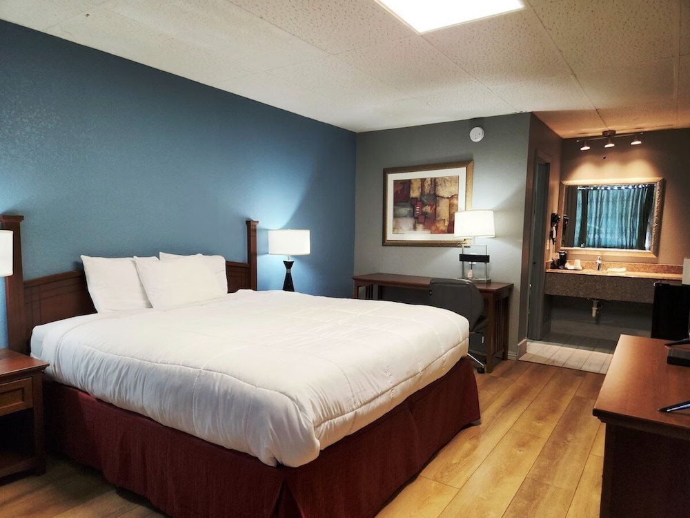 Deluxe Room, 1 King Bed, Non Smoking photo 1