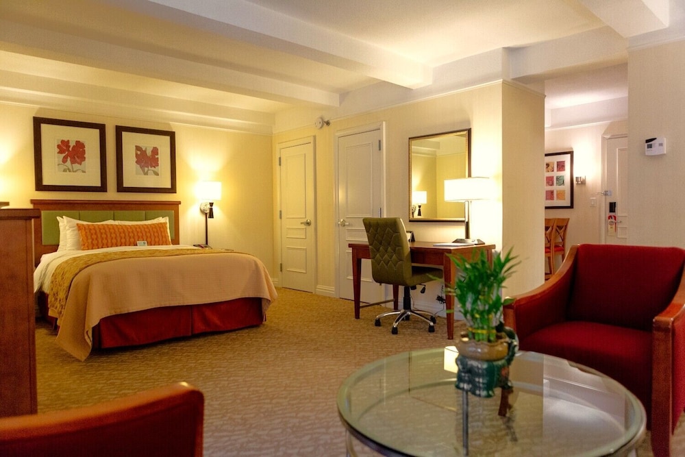 Executive Junior Suite, 1 King Bed: Oversized Room and Spacious Sitting area with Sofa Bed