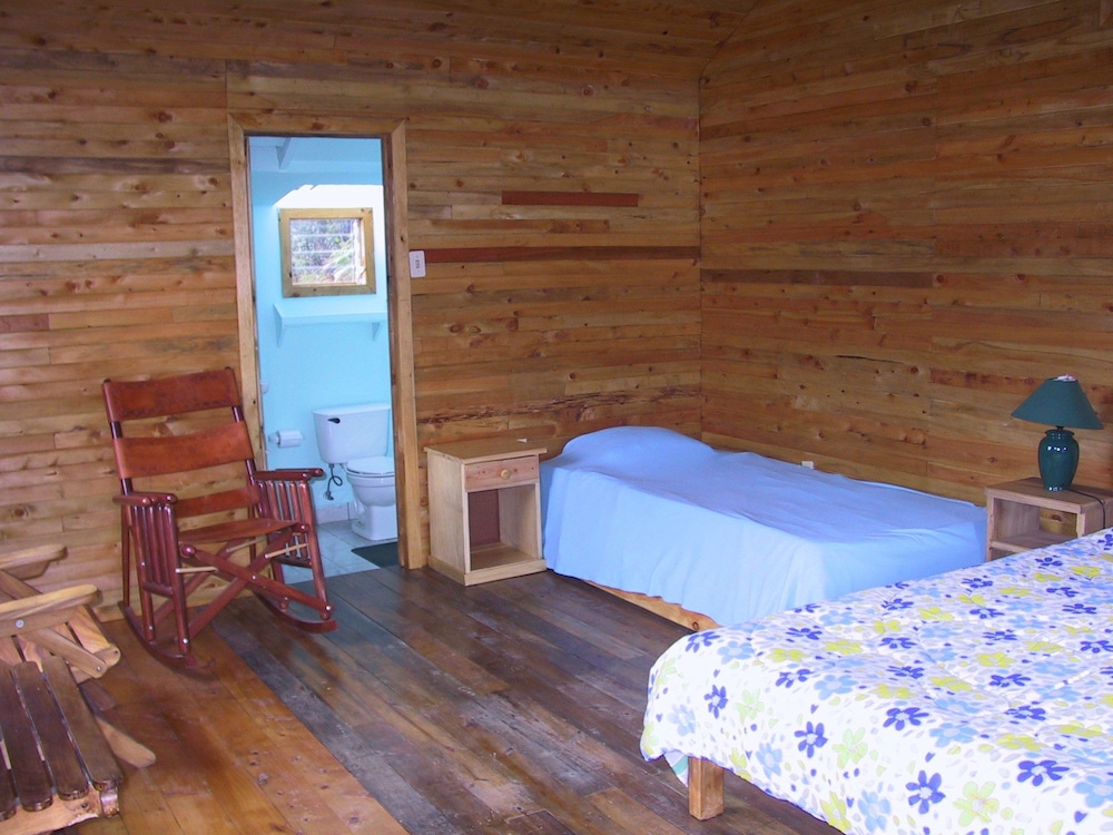 Basic Cabin, Multiple Beds, Non Smoking photo 2