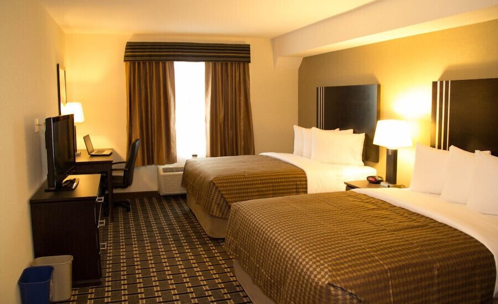 Economy Room, 2 Queen Beds
