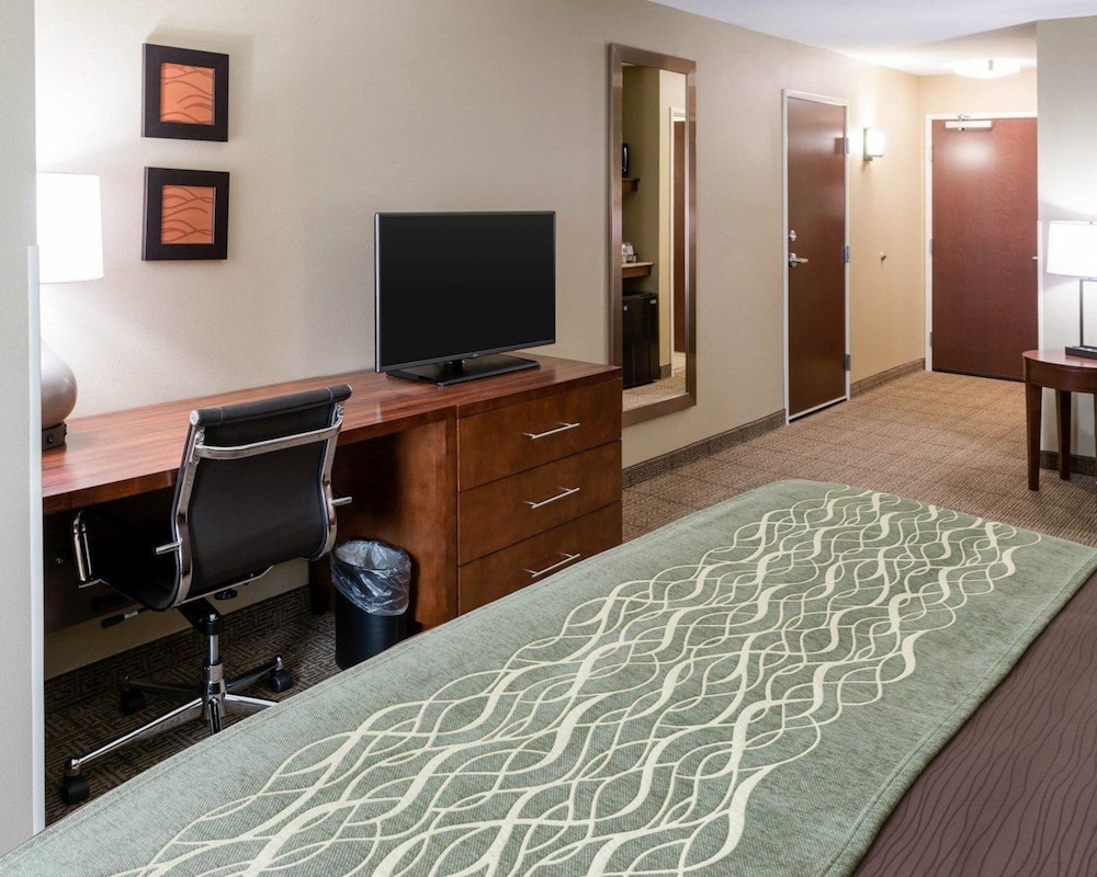 Mini Suite King with Sofa Bed, Non-Smoking