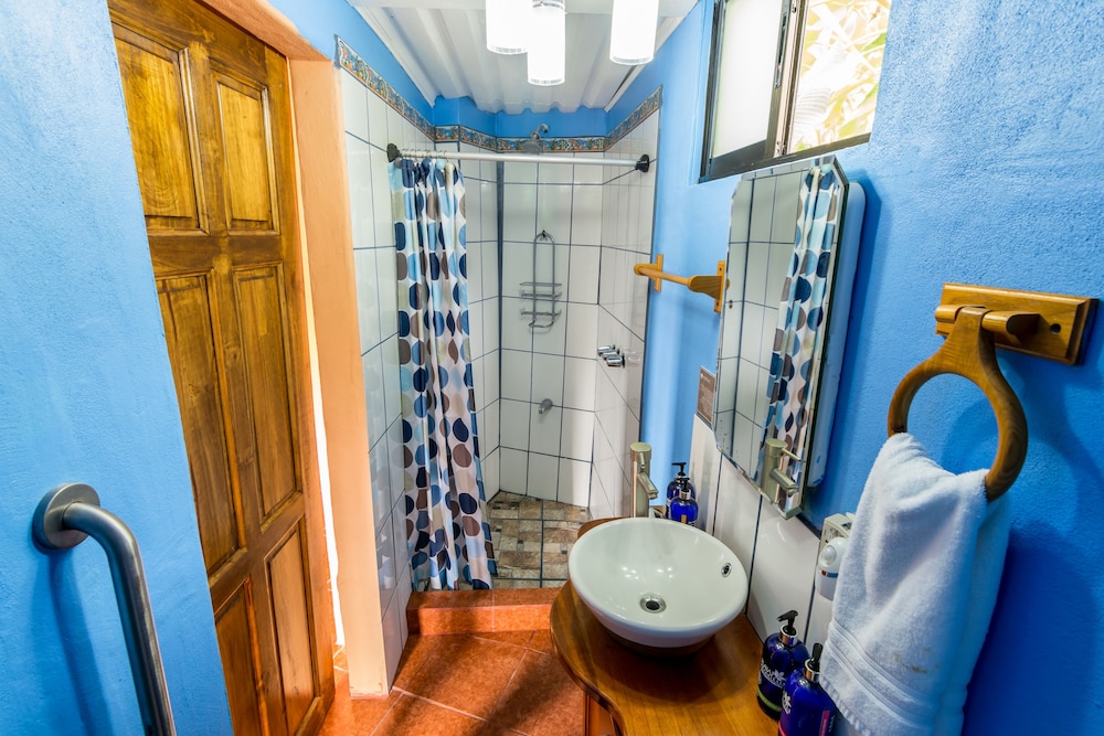 Suite, Kitchenette photo 2