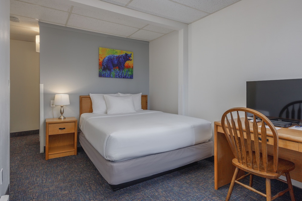 Comfort Room, 1 Queen Bed photo 2