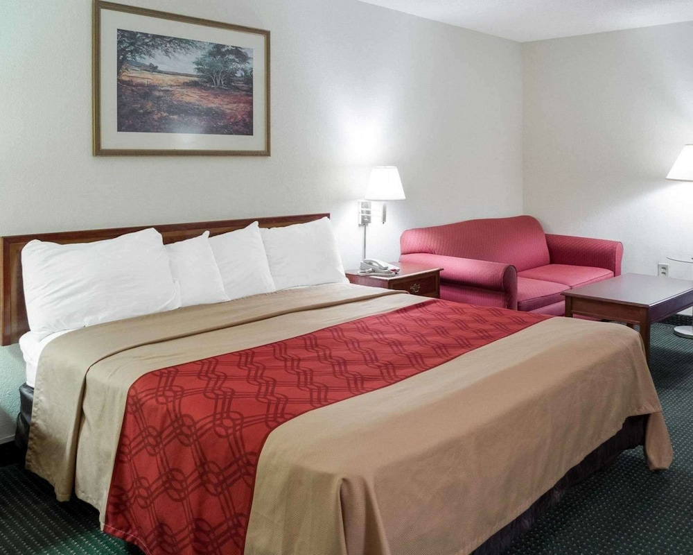 Standard Room, 1 King Bed, Non Smoking - Photo 1