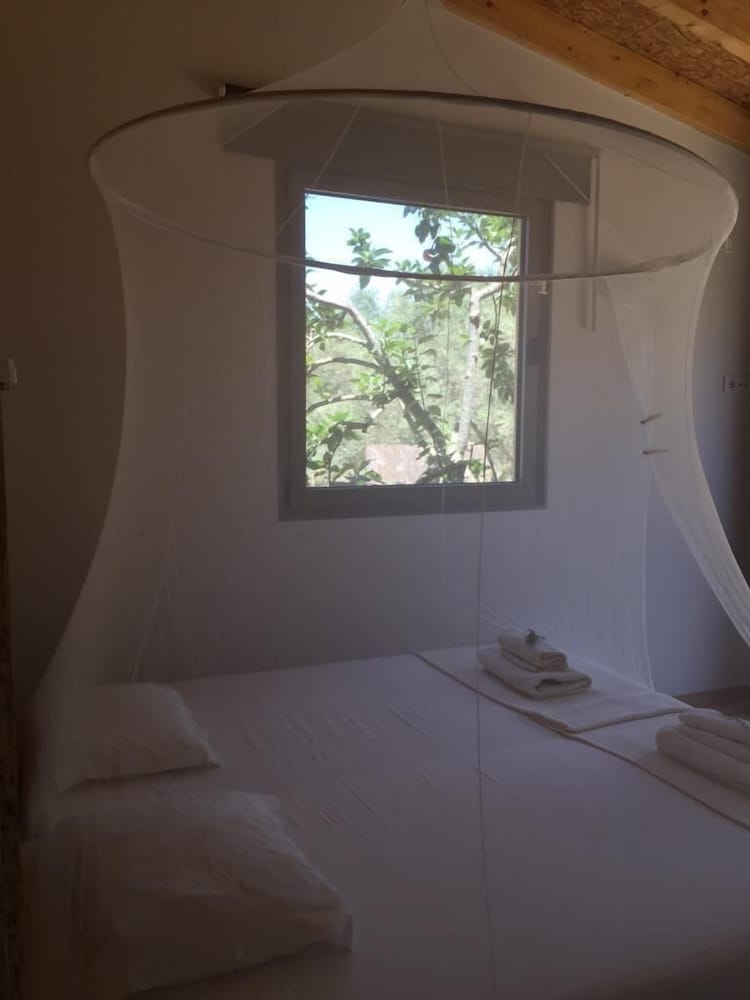 Standard Double or Twin Room, Courtyard View (Green Room) photo 1