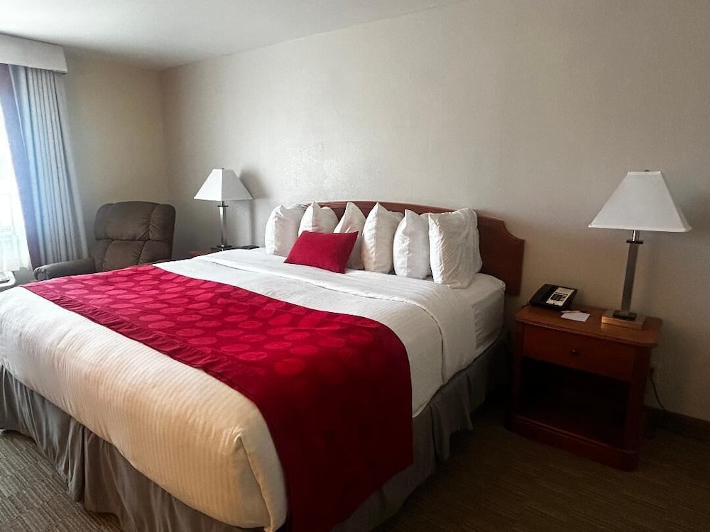 Deluxe Room, 1 King Bed, Smoking photo 2