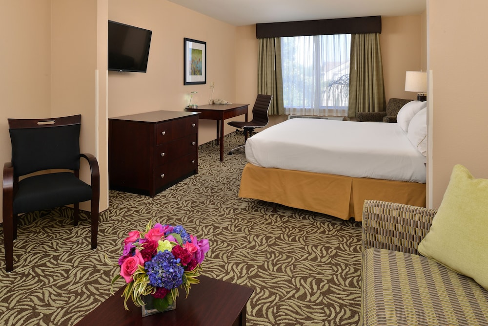 Suite, 1 King Bed (Extra Floor Space) - Photo 6