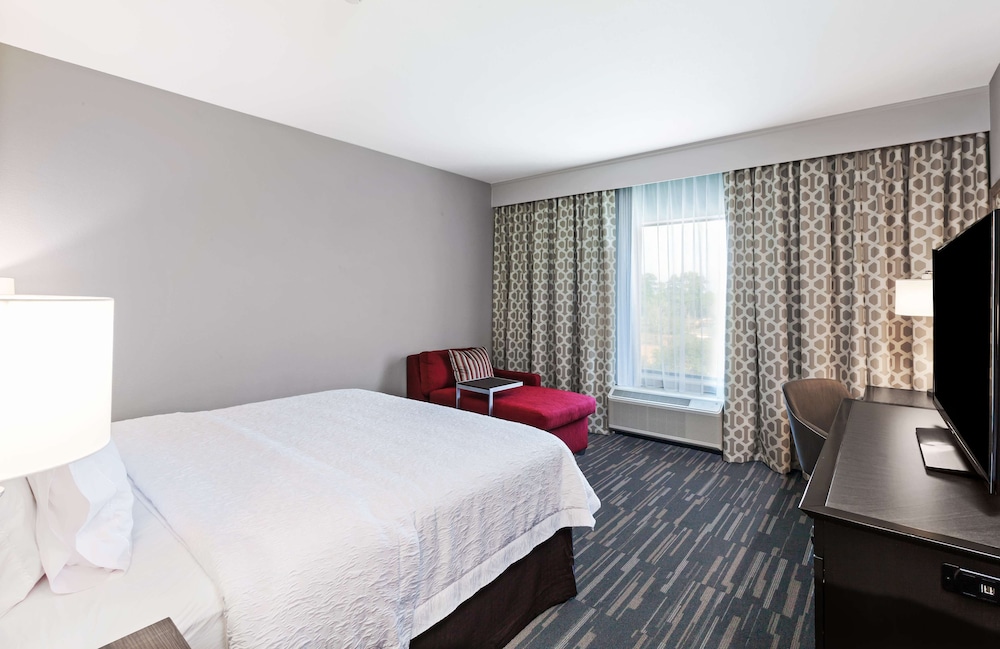 Room, 1 King Bed, Non Smoking, Refrigerator